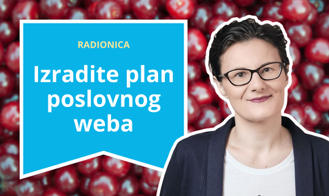 Višnja Željeznjak: 1 na 1 radionica - Izradite plan poslovnog weba