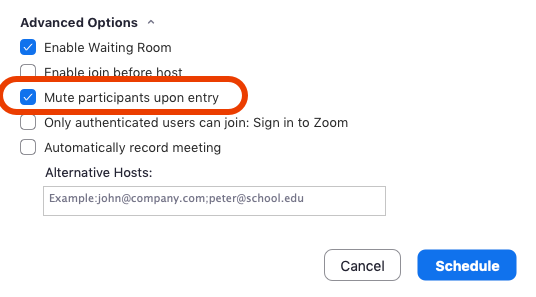 Mute All Participants Upon Entry - Zoom