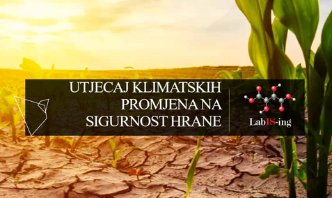 Utjecaj klimatskih promjena na sigurnost hrane